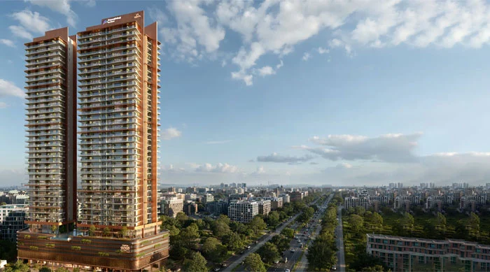 Shapoorji Pallonji Dualis